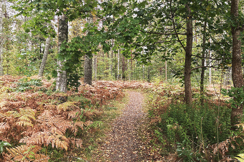 Woodland entrance